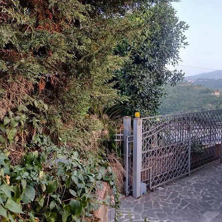 Cielo Aperto *
